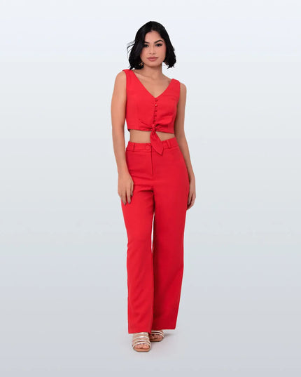 Conjunto Rojo ícono